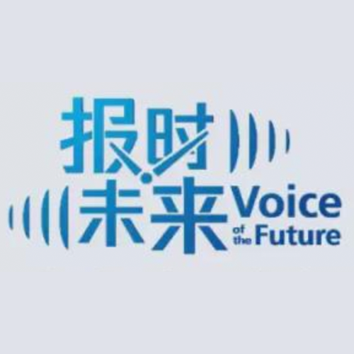 Voice of Future Global Enterprise Innovation Practice Summit Choice of Jury